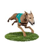 超級鑽娛樂城白金賽狗